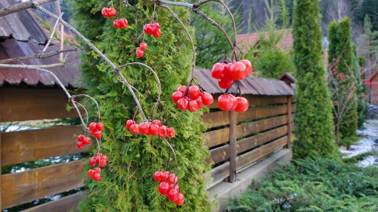 Котедж "Villa Затишна" Mykulychyn Exterior foto